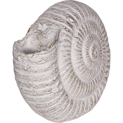 Laura Ashley Large Conche Shell Ornament