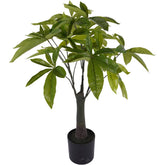 Faux Pachira Money Plant