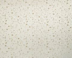 Ashley Wilde Anthracite Sandstone