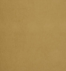 Ashley Wilde Arezzo Mustard