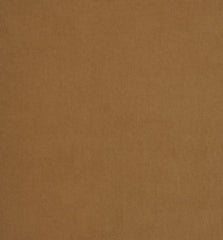 Ashley Wilde Arezzo Tan