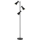 Ashworth Floor Lamp Dar Lighting ASH4922