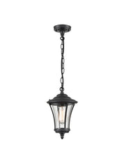 Franklite Alfresco Exterior Pendant Charcoal