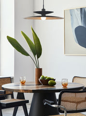 Franklite Cymbal Pendant