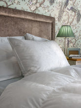 Laura Ashley White Luxury Goose Down Surround Pillow