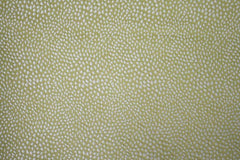 Ashley Wilde Blean Pistachio