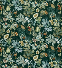 Ashley Wilde Borneo Forest