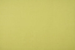 Ashley Wilde Cole Sorbet