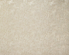 Ashley Wilde Dolomite Sandstone