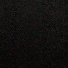 Kai Allegra Coal