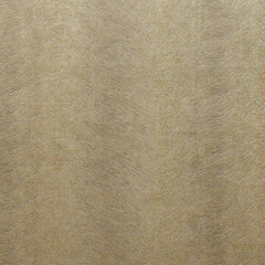 Kai Allegra Oatmeal