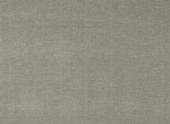 Kai Tyne Plaster