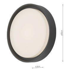 Ralph Large Outdoor Wall Light Anthracite IP65 LED