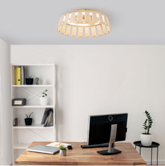 Mim Ceiling Fan Forlight LEDS C4