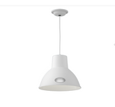 David Hunt Lighting Utility Pendant Small