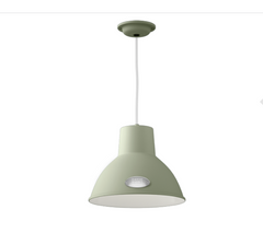 David Hunt Lighting Utility Pendant Small