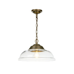 David Hunt Lighting Webster Pendant Clear Glass Antique Brass WEB0175