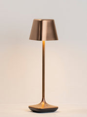 Wanderer Portable Table Lamp in Brushed Bronze