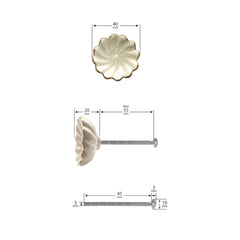 Laura Ashley Scalloped Drawer Pull, Off White & Gold, Set of 4