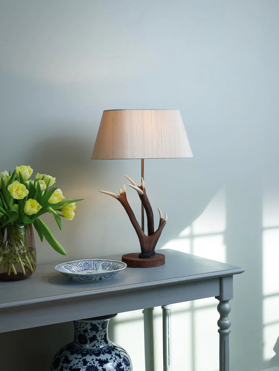 david hunt unique light for living room