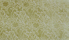 William Morris At Home Fabric, Flora And Foliage Compton Silhouette Velvet, Apple