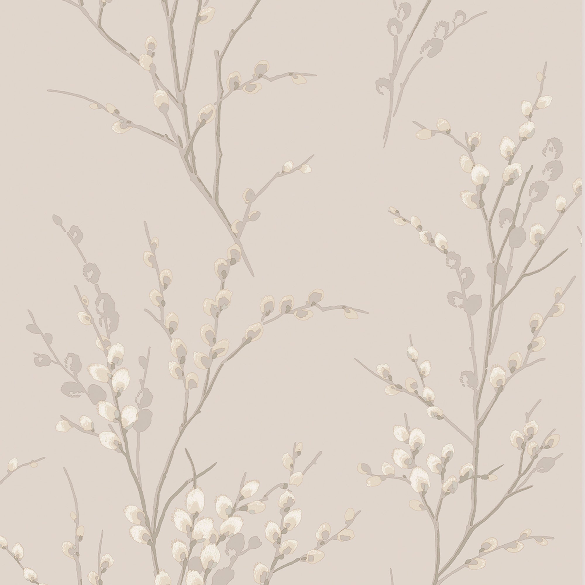 Laura Ashley Pussy Willow Wallpaper Dove Grey