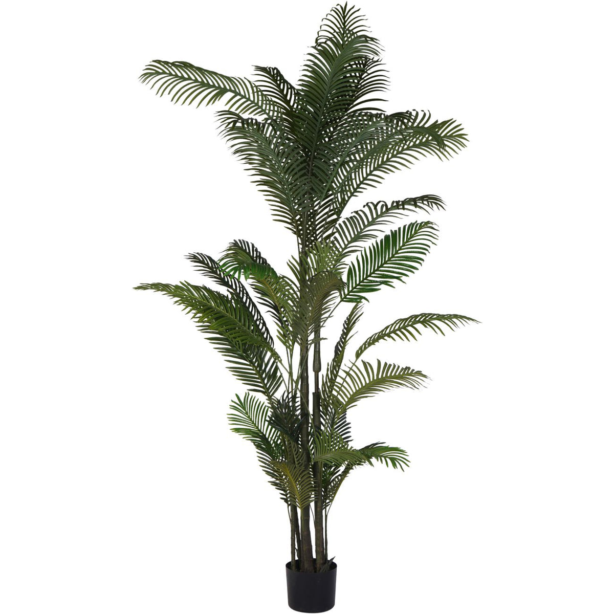 Faux Areca Palm 10ft