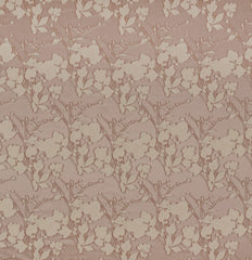 Kai Alina Plaster
