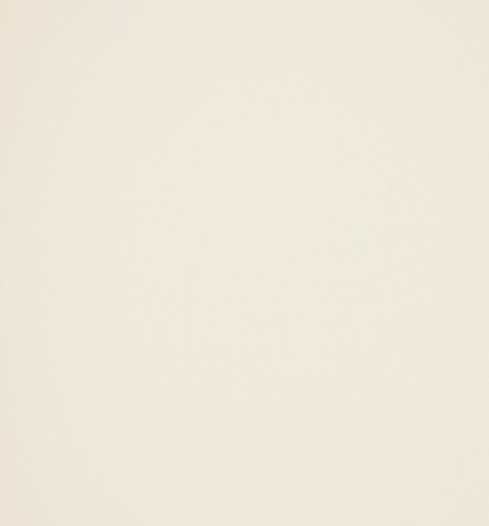 Ashley Wilde Arezzo Ivory