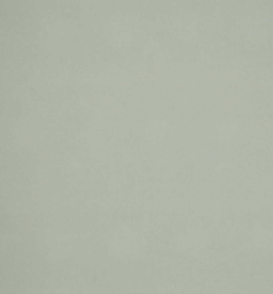 Ashley Wilde Arezzo Mint