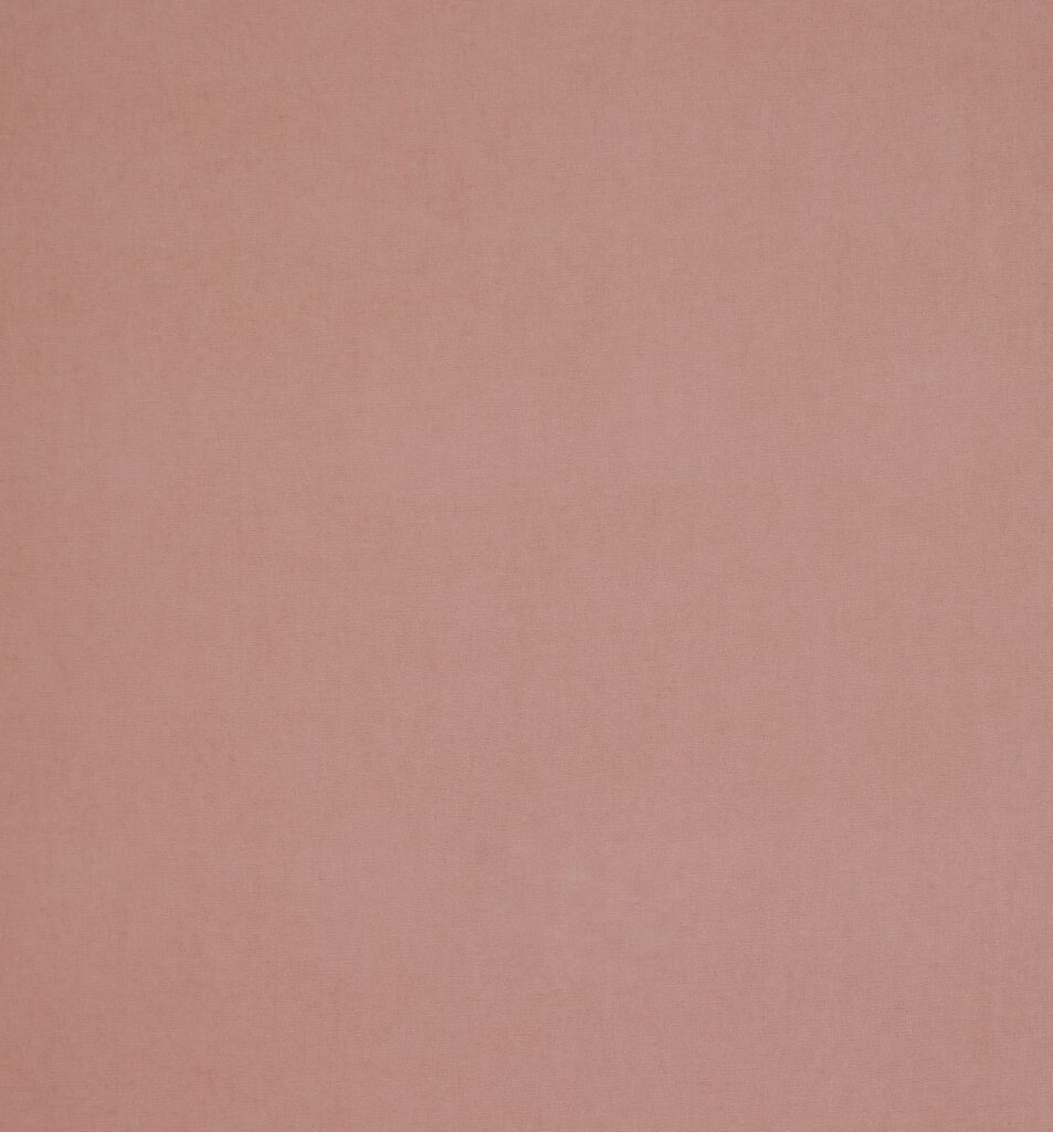 Ashley Wilde Arezzo Rose