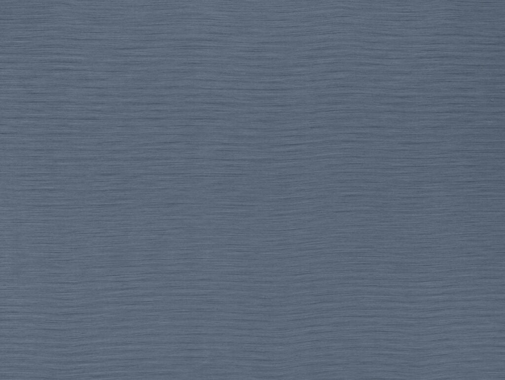 Ashley Wilde Austen Denim