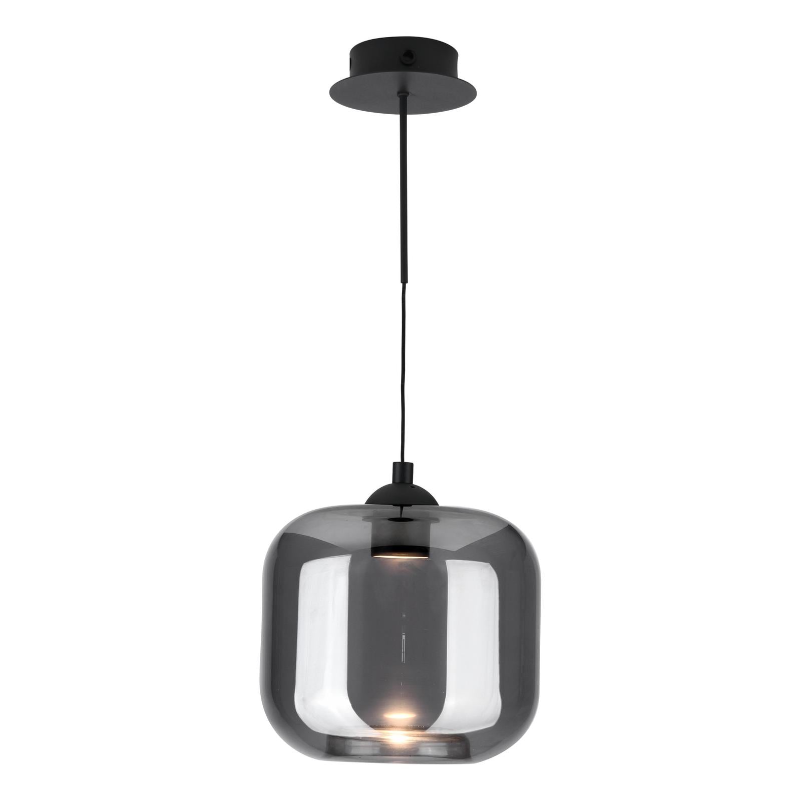 Eileen Pendant/Wall Light Matt Black and Smoked Glass LED