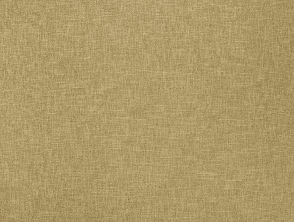 Ashley Wilde Bronte Ochre