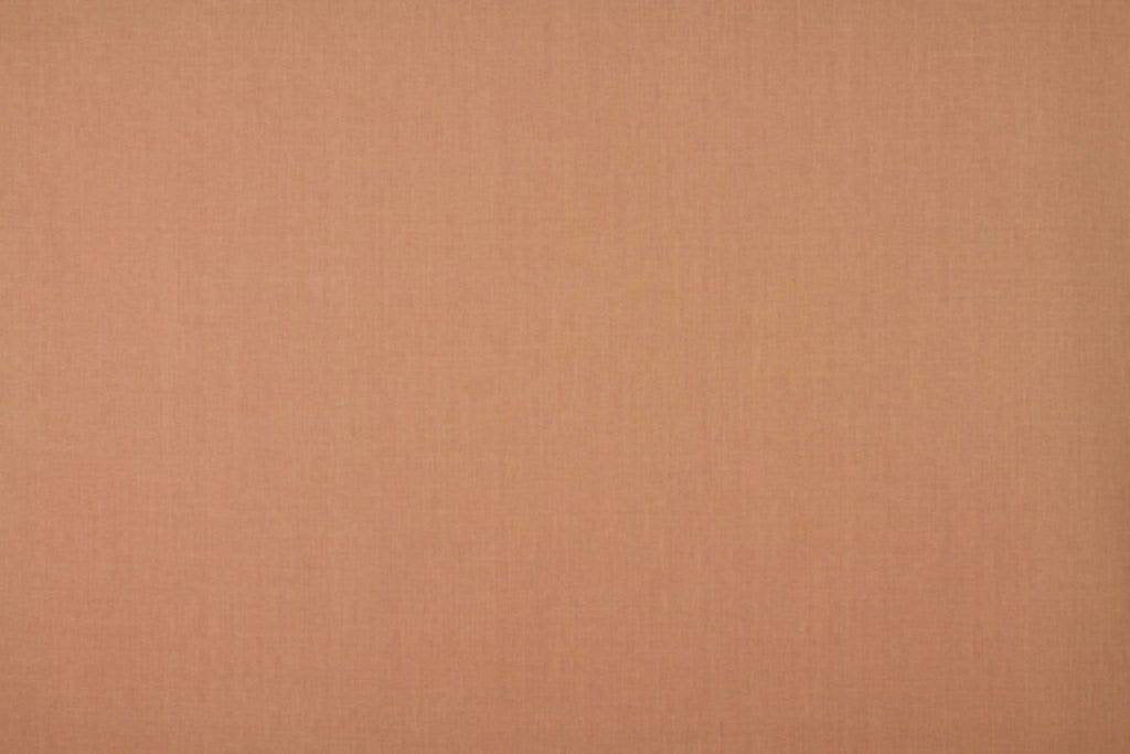 Ashley Wilde Cole Blush