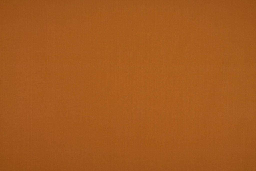 Ashley Wilde Cole Clementine