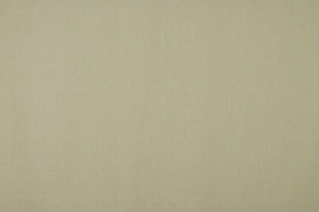 Ashley Wilde Cole Cream