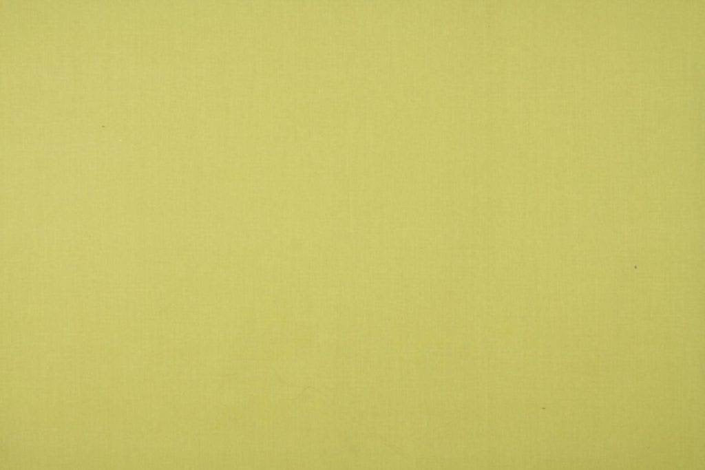 Ashley Wilde Cole Sorbet