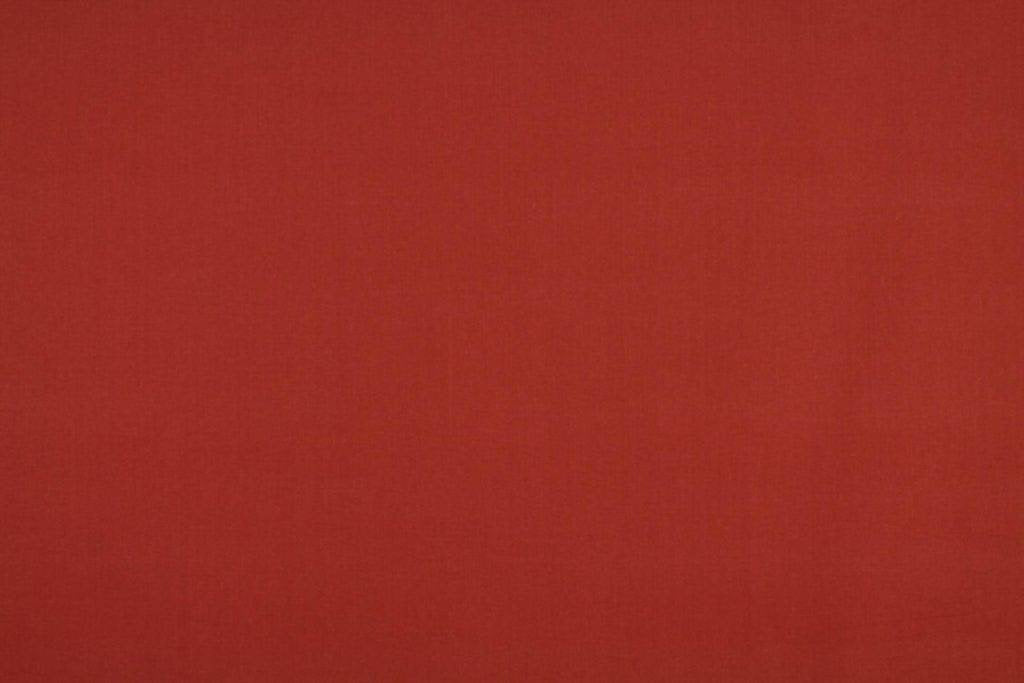 Ashley Wilde Cole Strawberry