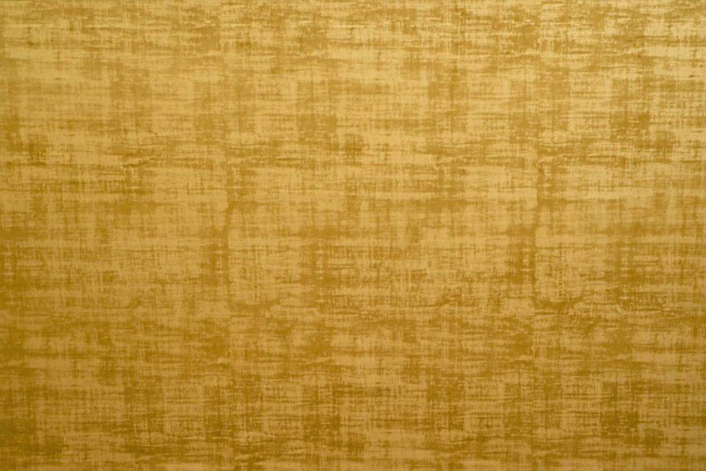 Ashley Wilde Dakota Ochre