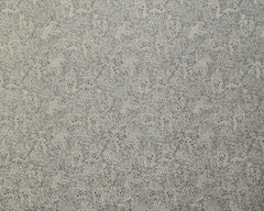 Ashley Wilde Dolomite Fossil