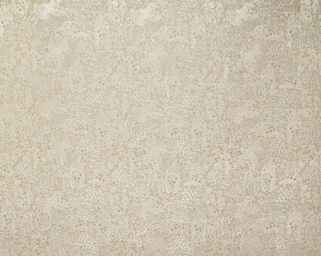 Ashley Wilde Dolomite Sandstone