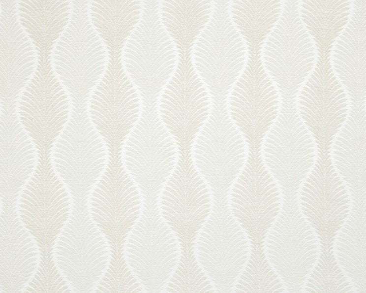 Ashley Wilde Foxley Champagne