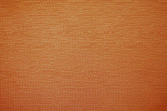 Ashley Wilde Glint Orange