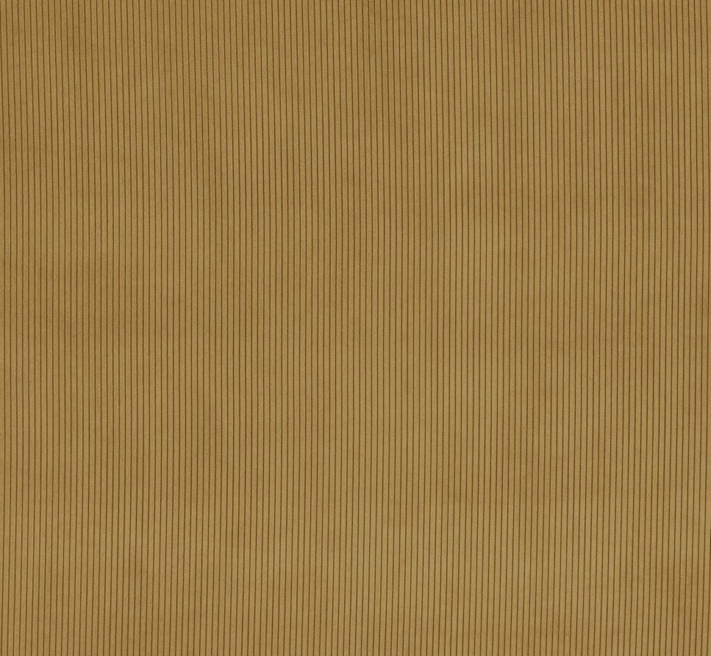 Ashley Wilde Lucio Mustard
