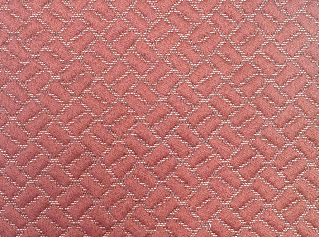 Ashley Wilde Moreton Coral