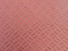 Ashley Wilde Moreton Coral