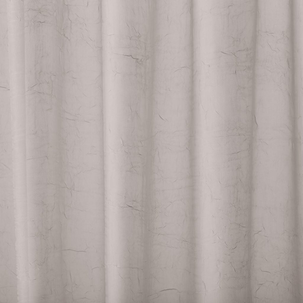 Ashley Wilde Pacific Shell