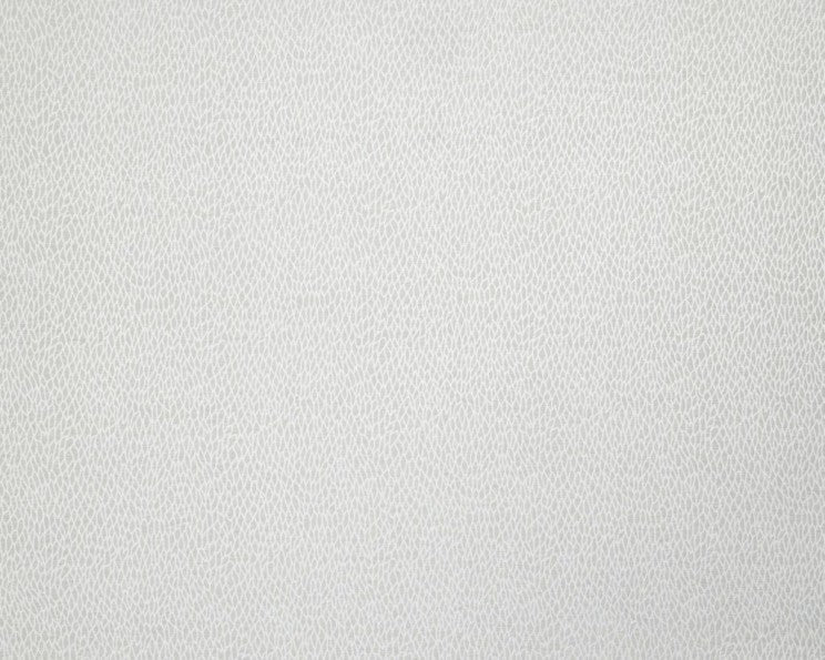 Ashley Wilde Roxton Ivory
