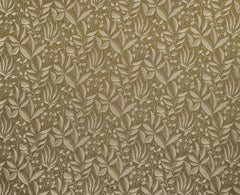 Ashley Wilde Semillion Ochre